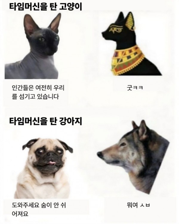 1090285152_rQ6MRUzG_1735262120.png
