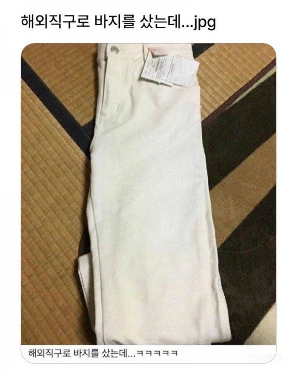 1090285295_O3WEBjgi_1742346873.jpeg