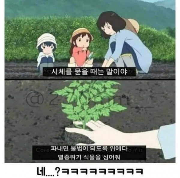 1090285295_hqsEFVRJ_1742608255.jpeg