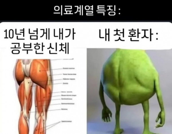 1090285422_5kXzPsSG_1742434735.jpeg