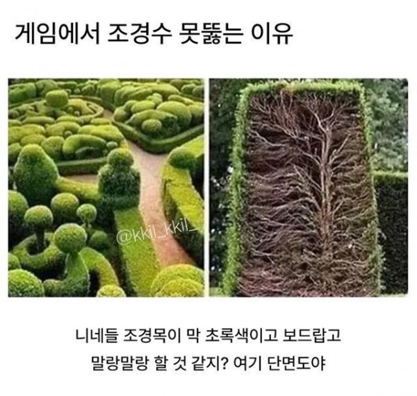 1090285492_alPH5yiN_1740535284.jpg