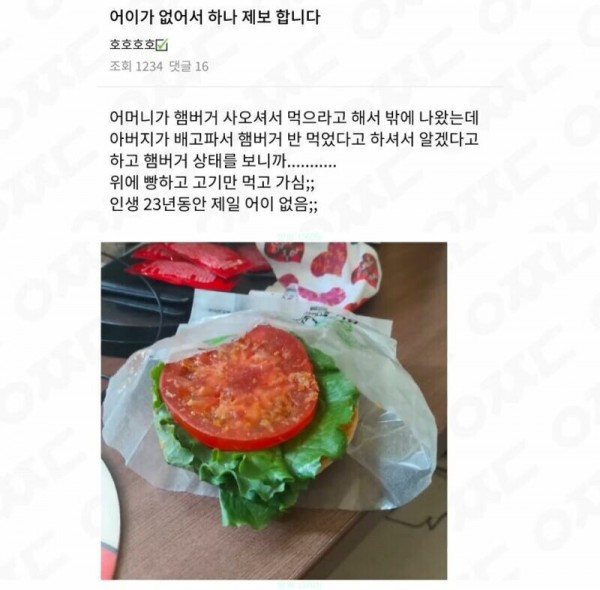 1090285573_zjS46ab8_1740622562.jpeg