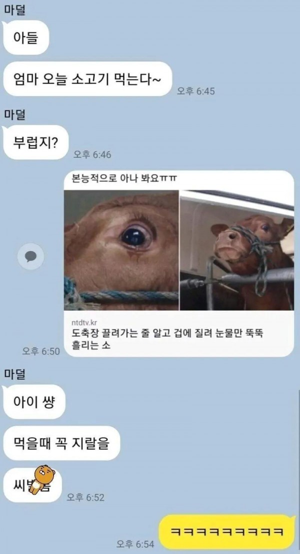 1090285620_hKgdAkvn_1738808647.jpeg