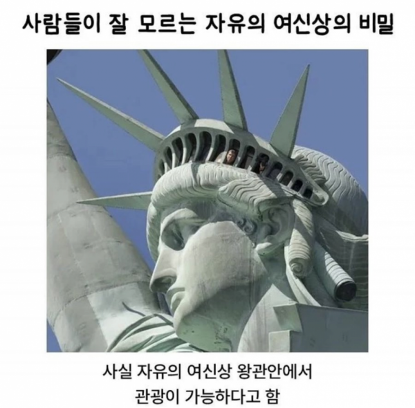 1090285638_qYxjW934_1732758229.png