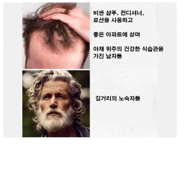 1090285670_TxtidGFs_1736129207.png