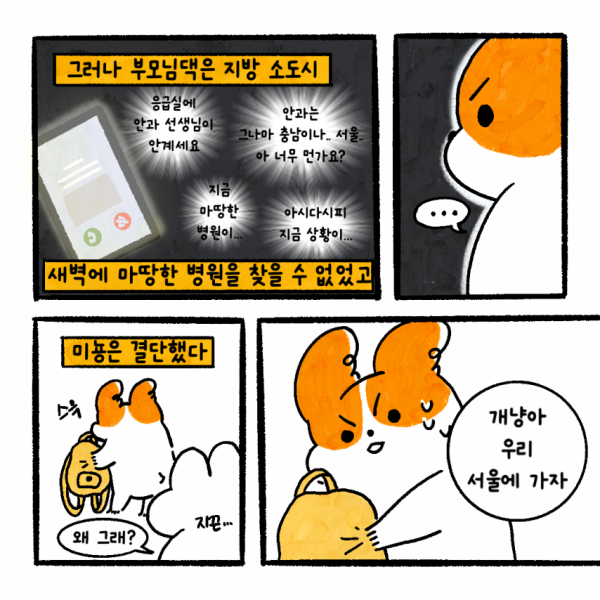 1090285760_zWVNqXg9_1743390353.png