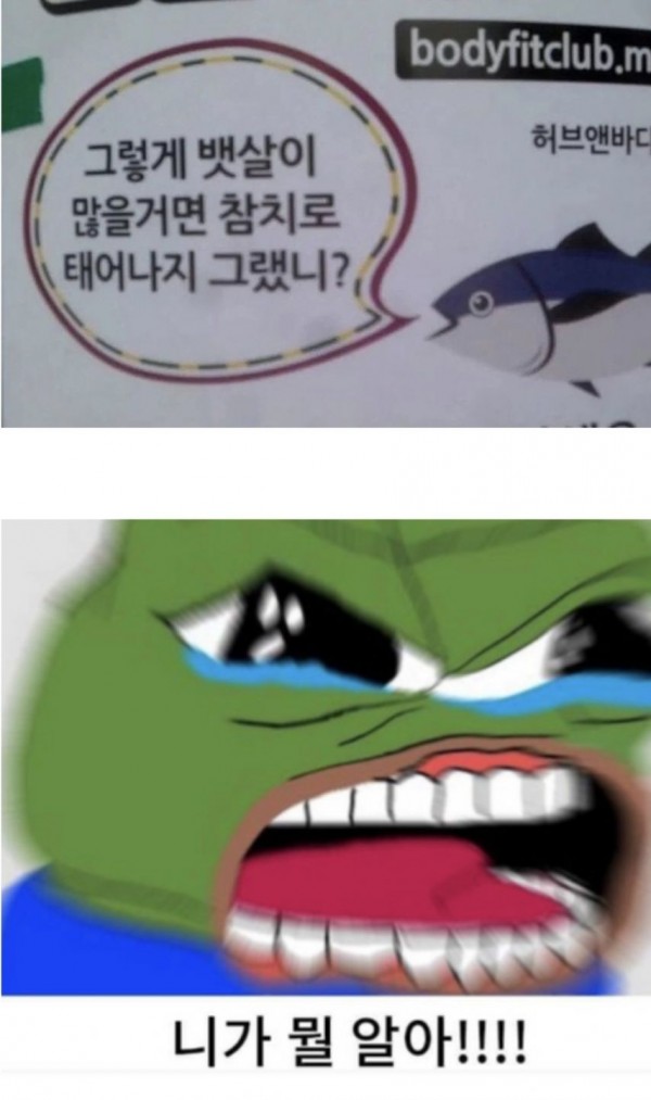 1090285765_njQqmiUV_1741051289.jpg