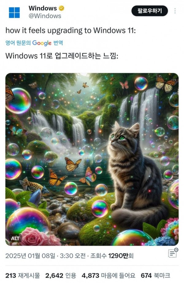 1090285783_HVcqmEId_1736559148.jpg