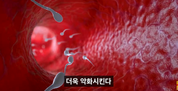 1090285880_OPwNWGrA_1735611195.png
