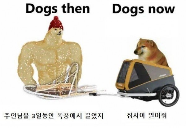 1090285918_R9PXKTN8_1742176134.jpeg
