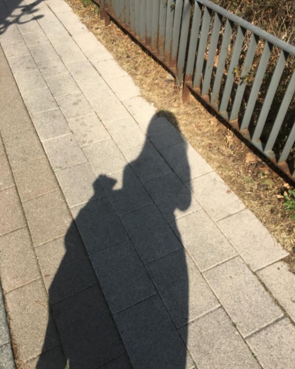 1090285524_1RqFsgxm_1742866348.jpeg