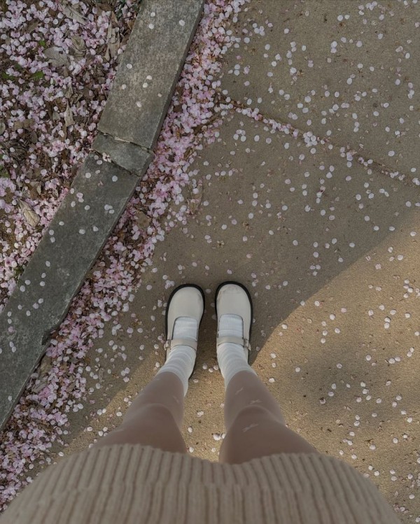 1090285808_jPKrlOXo_1743219364.jpeg
