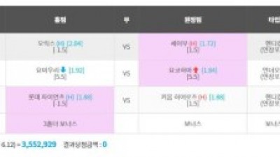 포니 스포츠 실벳 먹 사용금지