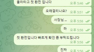 로어카지노