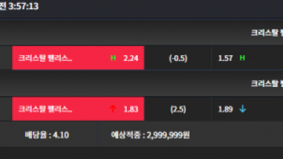 머스트잇 300만원 먹튀