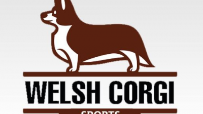 웰시코기 WELSH CORGI
