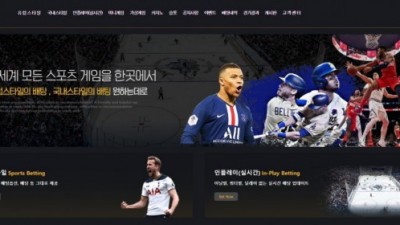 Z플립