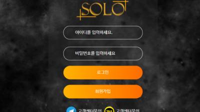 솔로 SOLO