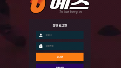 비에스 B 에스