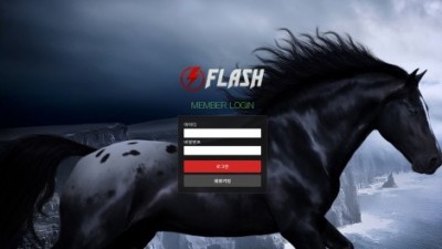 플래시 FLASH