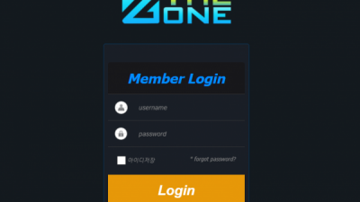 더존 THEZONE