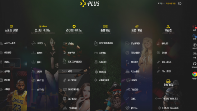 플러스 PLUS