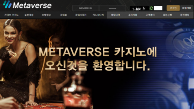 메타버스 METAVERSE