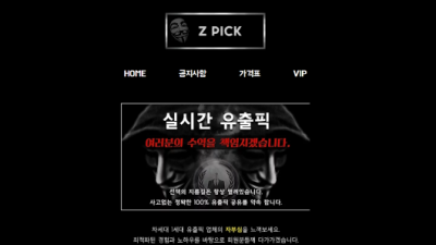 제트픽 Z PICK