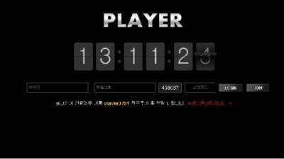 플레이어