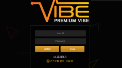 ​​바이브 VIBE