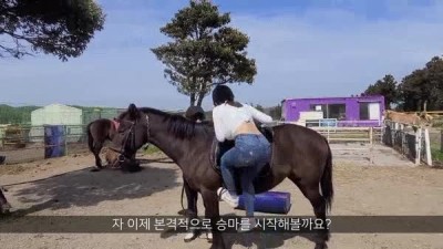말타는 벨벳