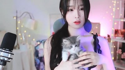 고양이 보여주는 한갱