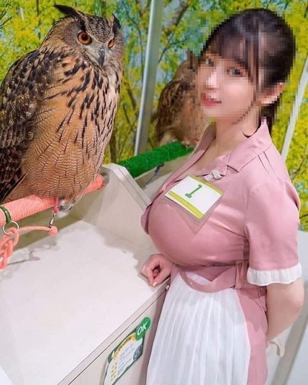 부엉이 사육사