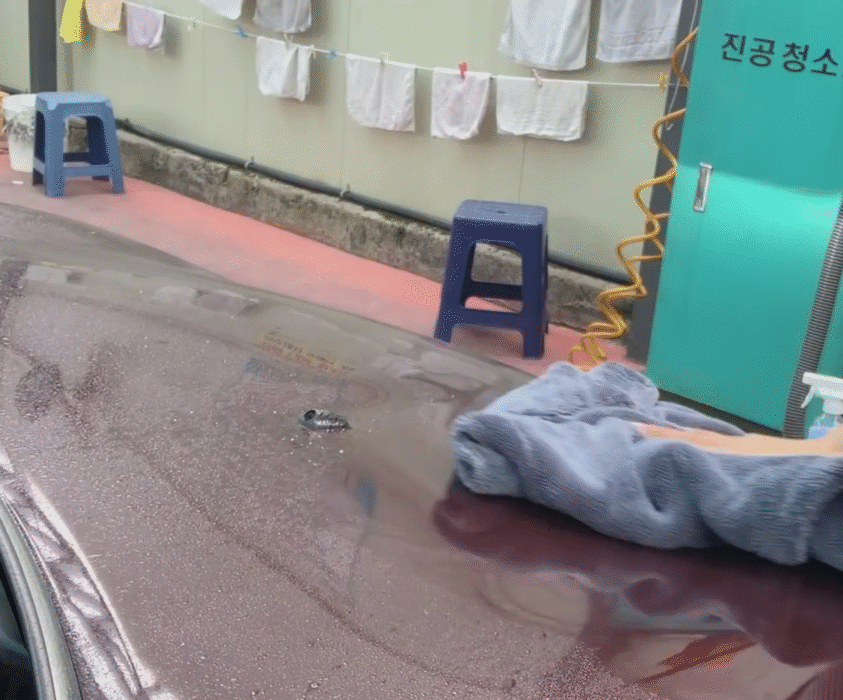 세차하는 서아