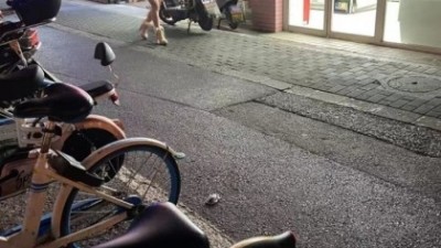 일본왕가슴녀
